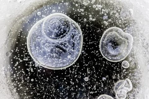 Abstract air bubbles inside the ice macro closeup Stock Photos