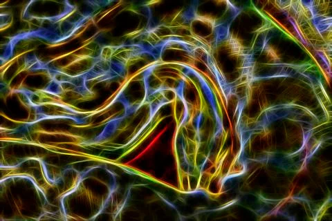 Abstract albino Burmese python Photos