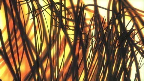 Abstract algae 스톡 동영상 172444225