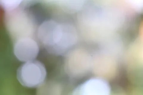 Abstract Ambient Background of Out-of-Focus Nature, Lights and Soft Colors Stock Photos