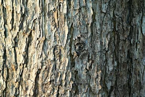 Abstract and art Stock Photos