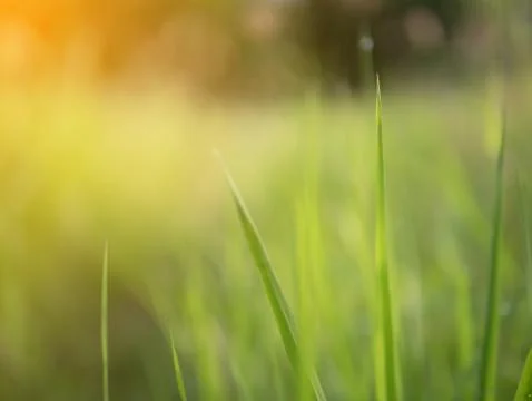 Abstract and blurred background Stock Photos