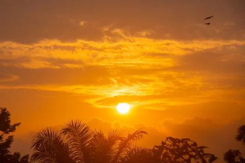 Abstract and pattern of cloud sky Calming coral, Orange, Trend color of the.. Stock Photos