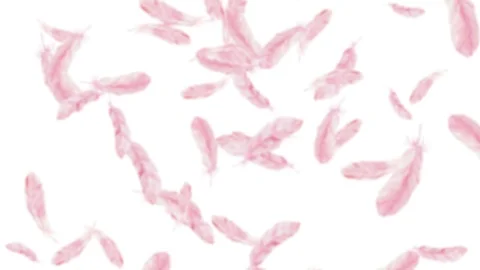 Abstract animated background with feathers. Stock Footage 116879408