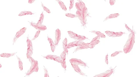 Abstract animated background with feathers. Stock Footage 117236232