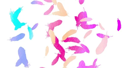 Abstract animated background with feathers. Stock Footage 117236249