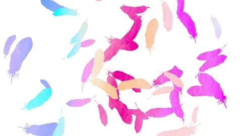 Abstract animated background with feathers. Stock Footage 117236262