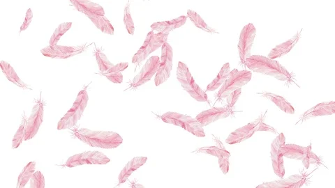 Abstract animated background with feathers. Stock Footage 117236325