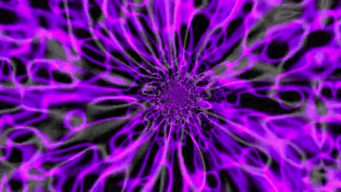 Abstract animated background featuring rotating curved lines Stock Footage 319558120