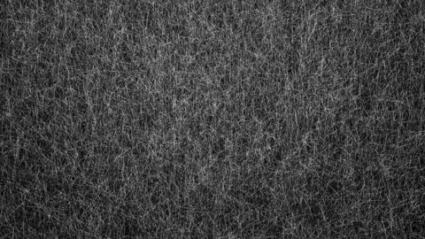 Abstract animated background of gray thin moving lines in different directions Stock Footage 261875057