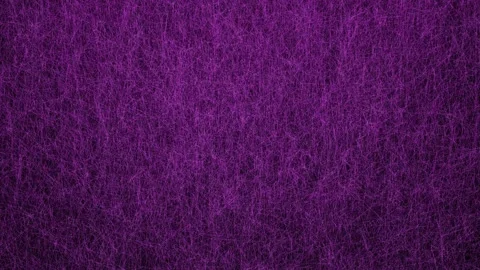 Abstract animated background of purple thin moving lines in different directions Stock Footage 262750614