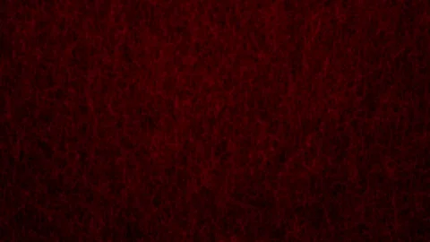 Abstract animated background of red thin moving lines in different directions Stock Footage 263654908