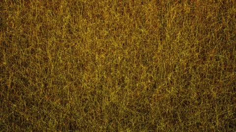 Abstract animated background of yellow orange thin moving lines in different Stock Footage 261445255
