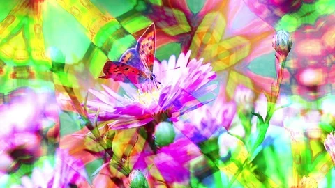 Abstract Animated Colors Background Stock Footage 106139449