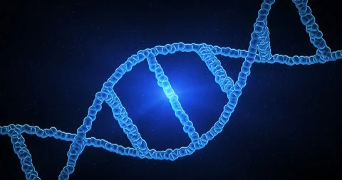 Abstract animated DNA molecule. Conceptual animation of digital DNA Stock Footage 309141153