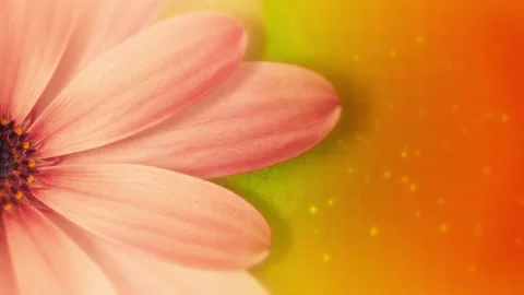 Abstract animated flower with plexus network on purple background, seamless Stock Footage 332123215