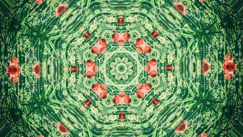 Abstract animated kaleidoscope motion background. 動画素材 102373616