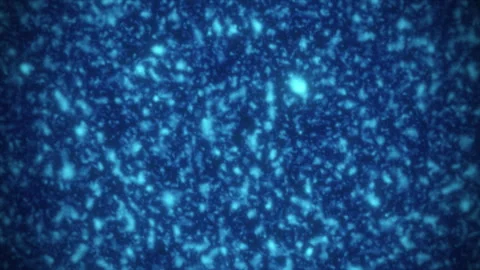 Abstract animated liquid of blue glowing magical particles. Liquid stylish ba Stock Footage 259570428