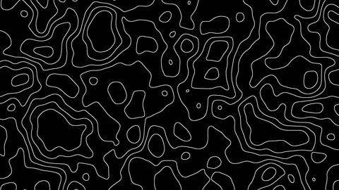 Abstract Animated Topography Background With Black And White Colors. Video Stock Footage 317288331