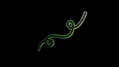 Abstract animation, background, 3d glass green and chrome curved line shape 4k Stock Footage 338345192