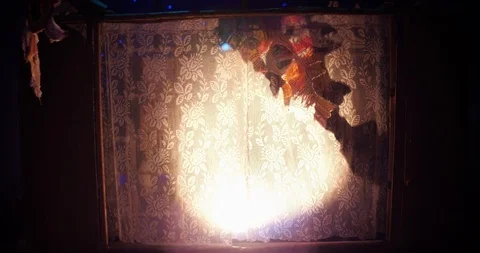 Abstract animation background with rotating doll fish. Stock-Footage 94296244