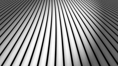 Abstract animation background with smooth, curved lines in shades of gray. The Stock Footage 311272421