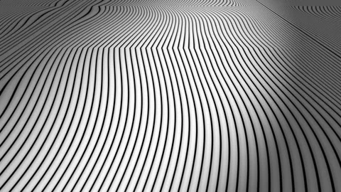 Abstract animation background with smooth, wavy lines in shades of gray Stock Footage 313236911