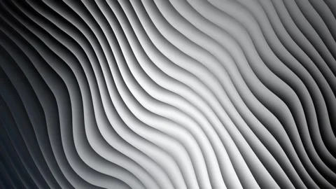 Abstract animation background with smooth, wavy lines in shades of black and 스톡 동영상 314077931