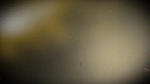 Abstract Animation of bacteria in microscopic view Stock Footage 91600344