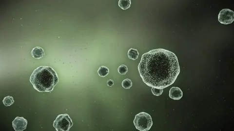 Abstract Animation of bacteria in microscopic view Stock Footage 91600474