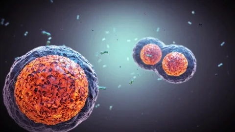 Abstract Animation of bacteria in microscopic view Stock Footage 91600490