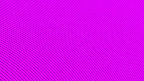 Abstract animation of black lines over pink background Video stock 149977476
