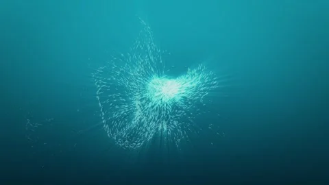 Abstract animation of blue particles randomly floating on a dark blue background Stock Footage 264814150