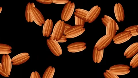 Abstract Animation of Bursting Brown Seeds on Black Background Stock Footage 344835172