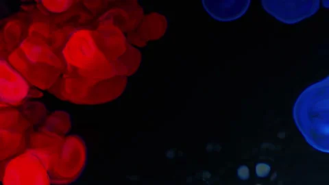 Abstract animation of chemical diffusion between two paint. Stock Footage 218310143