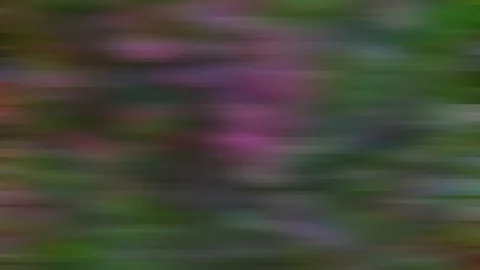 Abstract Animation Color Wavy Smooth Wall (500) Video stock 128953052