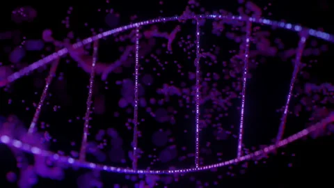 Abstract Animation On Dark Magenta Background Stock Footage 145754664