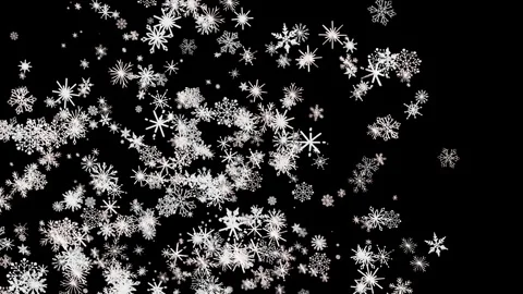Abstract animation of different shaped frozen ice crystals falling 스톡 동영상 343967523