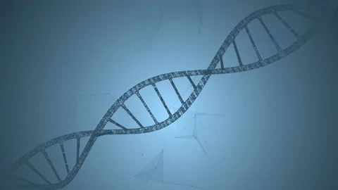Abstract animation of DNA and plexus. Loop animation Stock Footage 77953822