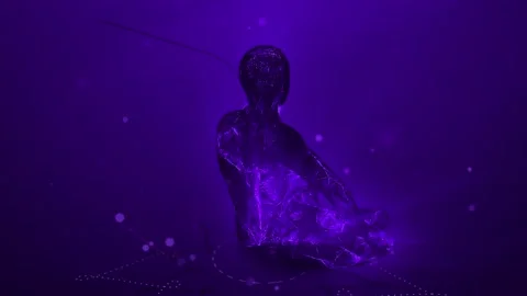 Abstract Animation of an Enlightened Yogi and His Brain in a Full Lotus Pose Stock Footage