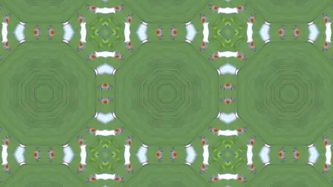 Abstract animation with hand drawn geometric kaleidoscope pattern Stock Footage 77265132