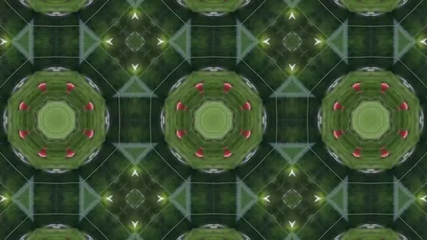 Abstract animation with hand drawn geometric kaleidoscope pattern Stock Footage 77265149