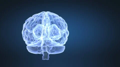 Abstract animation of human brain Stock Footage 169262581