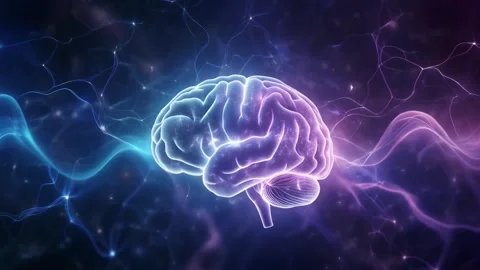 Abstract animation of human brain glowing neural connections and waves of l.. Stock Footage 320949258