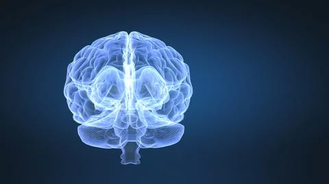 Abstract animation of human brain Stock Illustration