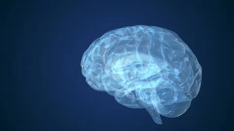 Abstract animation of human brain Stock Illustration