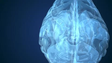Abstract animation of human brainv Stock Illustration