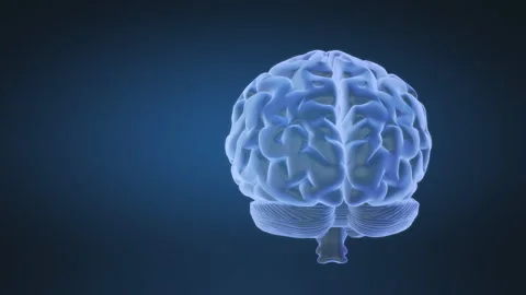 Abstract animation of loopable human brain Stock Footage 169262522