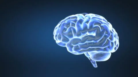 Abstract animation of loopable human brain Stock-Illustration