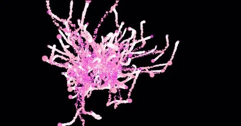 Abstract animation motion design of a beautiful purple particle explosion of  Stock Illustration